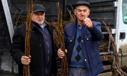 Bursa’da Tarıma Güçlü Destek: Üreticiye Fidan Ve Tohum Hibesi