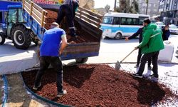 Orhangazi’de Kurakçıl Peyzaj Dönemi Başladı