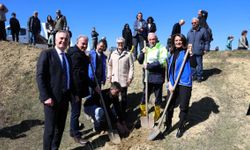 Nilüfer’de doğaya nefes: 32 dekarlık alana 450 fidan dikildi