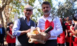 Bursa'nın zeytin mirası Gemlik ve Orhangazi'de yaşatılıyor