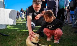 Merinos Parkı’nda mutluluk: 92 can dostuna sıcak yuva