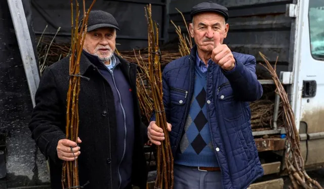 Bursa’da Tarıma Güçlü Destek: Üreticiye Fidan Ve Tohum Hibesi