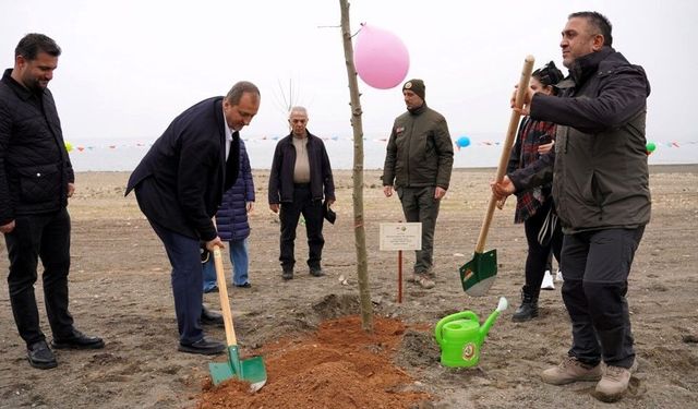 İznik’te Orman Haftası İçin Fidanlar Dikildi