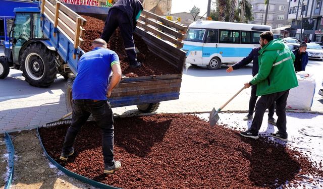 Orhangazi’de Kurakçıl Peyzaj Dönemi Başladı