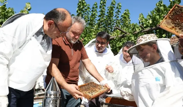 Büyükşehir’in desteğiyle kovanlar bala dönüştü