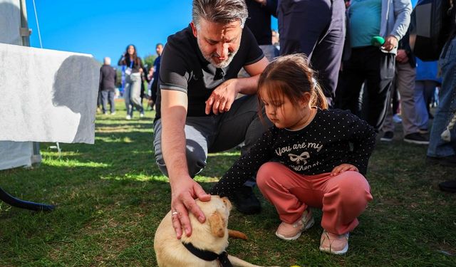Merinos Parkı’nda mutluluk: 92 can dostuna sıcak yuva