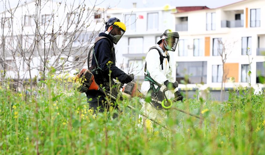 Osmangazi’de Yabani Ot Temizliği Çalışmaları Başladı