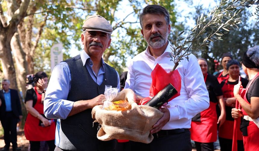 Bursa'nın zeytin mirası Gemlik ve Orhangazi'de yaşatılıyor